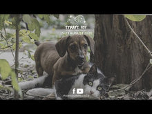 Load and play video in Gallery viewer, Paw Necklace that donates to Animals in Need
